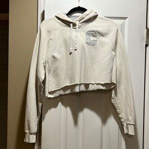 Champion cropped sweatshirt